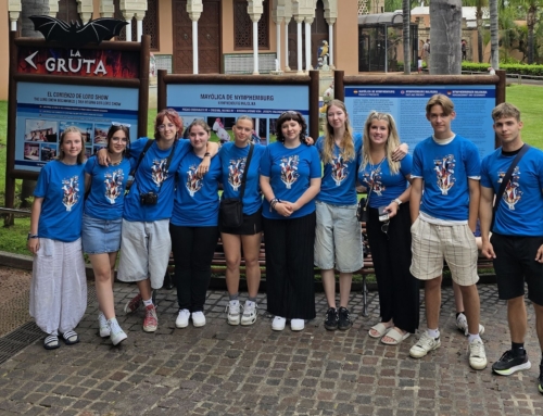 Erasmus+ mobilnosti: vtisi letošnjih 4. letnikov, ki so lani opravljali prakso v tujini