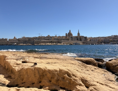 Erasmus+ Malta Job Shadowing